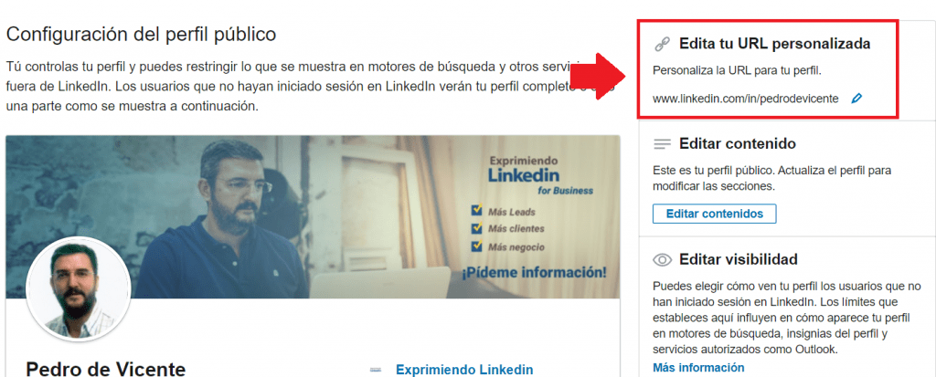 url perfil Linkedin perfil público