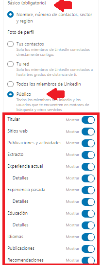 Cómo configurar Linkedin Configuración del perfil público 3