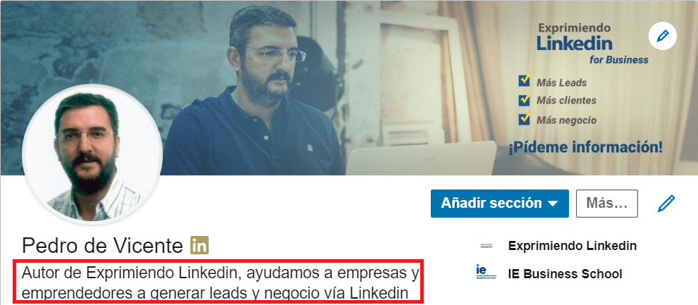 Perfil Linkedin - Titular Profesional
