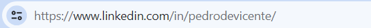 cómo personalizar la URL del perfil de Linkedin 4