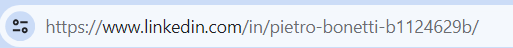 cómo personalizar la URL del perfil de Linkedin